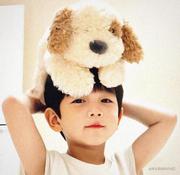 一支鱼的个人资料头像