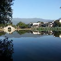 老王图宠图头像