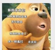 一个爱笑的男孩的个人资料头像