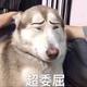 用户9698378382159头像