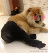 头像本人的个人资料头像