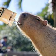 欧欧298的个人资料头像