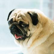 阿管48的个人资料头像