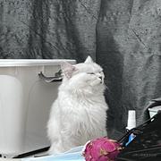 用户7040967066611的个人资料头像