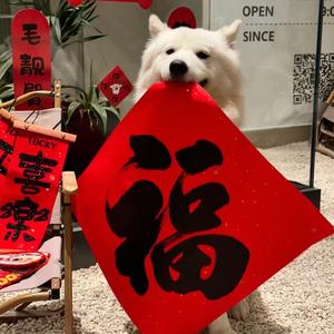 福鹿头像