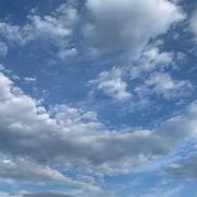 Ange151的个人资料头像