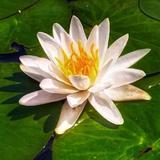 小浅浅88头像