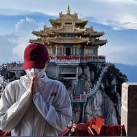 璐加A头像