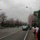 严永的个人资料头像