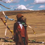 Sheepflare的个人资料头像