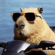 萨菠萝砸的个人资料头像