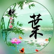 万物皆IO的个人资料头像