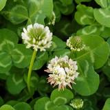 1983向着太阳出发头像