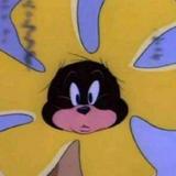 waxzpwaxzp头像