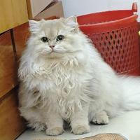 27岁的年纪拥有自己的第壹台车头像