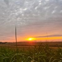 奇幻饺子8sT头像