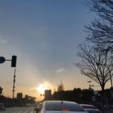 蓝皮象头像
