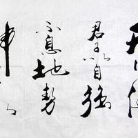 老张一直很努力A头像