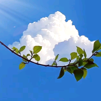 诗玛尔鞋铺头像