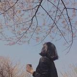 A莉妞儿605头像