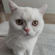 用户922129108353的个人资料头像