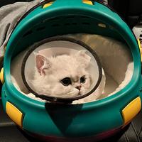 跟着季节去旅头像