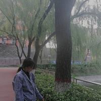 ChLF头像