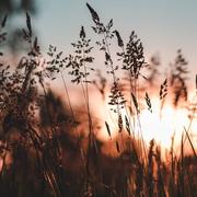 Tina310的个人资料头像