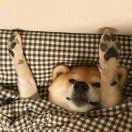 顾伟的个人资料头像