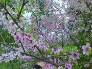 dgelety的个人资料头像