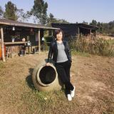 上进的君姐好物分享头像