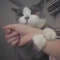 用户7145570816227头像