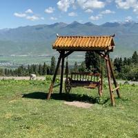 梦想天涯QY头像