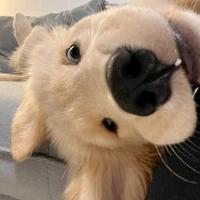 用户2963888654991头像