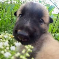 用户2928549736136头像