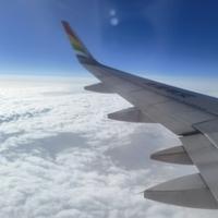 哔哩哔哩耶耶耶头像