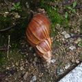 钓钓小虾头像