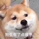 用户8048473557868头像