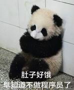 早知道不学Android了的个人资料头像