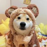 Niko头像