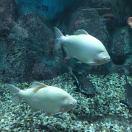 wenzhe不想说话的个人资料头像