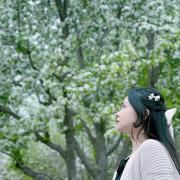 Elisa的个人资料头像