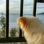 用户2454227632533的个人资料头像