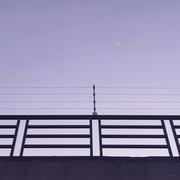 Charltin的个人资料头像