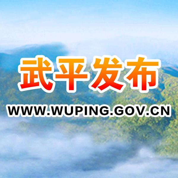 武平发布头像