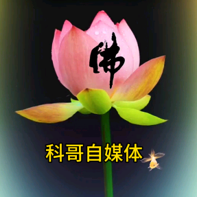 科哥自媒体头像