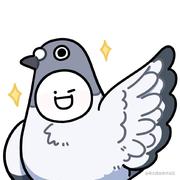 午夜狂鸽的个人资料头像