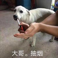 上进的荣耀头像