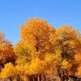 一往无前辰星U6头像