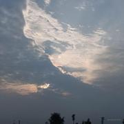 老怪兽的个人资料头像